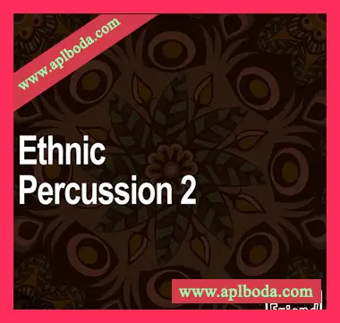 [民族打击乐采样]AudioFriend Ethnic Percussion 2 [WAV]（165Mb）