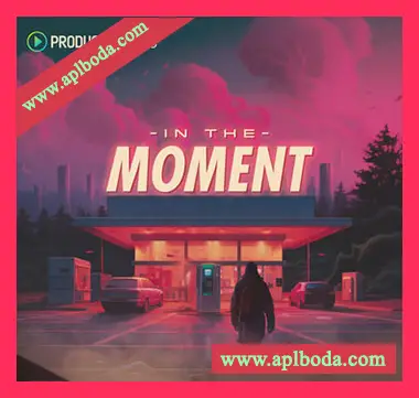 [鼓打贝斯素材]Producer Loops In The Moment [多格式]（2.07Gb）