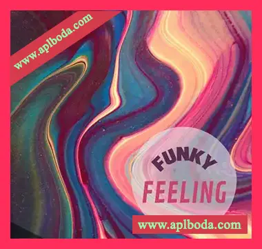 [放克爵士素材]PrzystekRecords Funky Felling [WAV, MiDi]（23Mb）