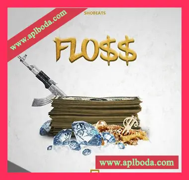 [Trap嘻哈陷阱素材Sylenth1预置Nexus预置]Shobeats Floss [WAV, MiDi]（178Mb）
