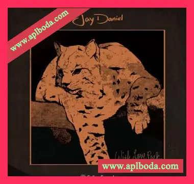 [Electronic电子乐采样]Splice Sounds Jay Daniel With Love Pack [WAV]（38Mb）