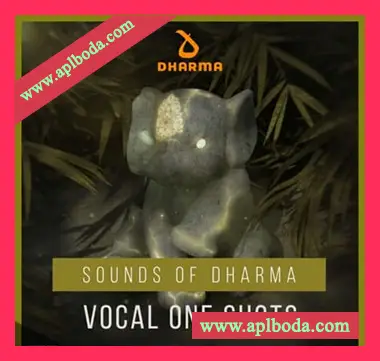 [流行电子奇幻贝斯人声采样]Dharma Worldwide Vocal One Shots [WAV]（8Mb）