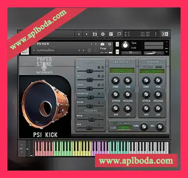 [底鼓合成器音源]Paper Stone Instruments PSI Kick [KONTAKT]（561Mb）