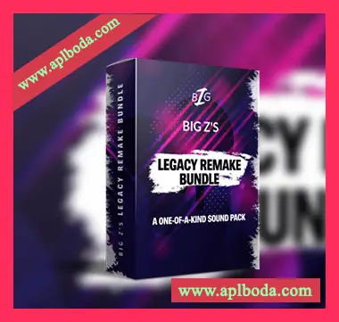 [浩室电子舞曲素材Serum预置Logic模板]Big Z Sounds Big Z’s Legacy Remake Bundle [WAV, MiDi]（9.16Gb）