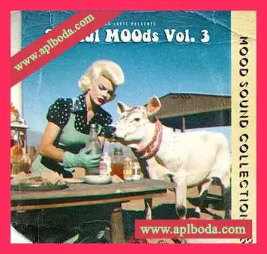 [怀旧流行RnB采样]Moo Latte Soulful Moods Vol.3 (Compositions And Stems) [WAV]（968Mb）
