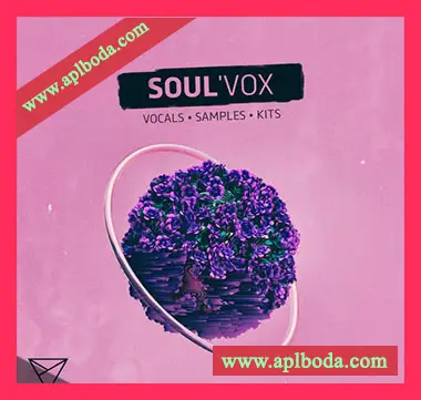 [灵魂嘻哈放克人声素材]Unmute SoulVox [WAV, MiDi]（542Mb）