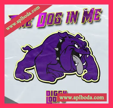 [灵魂RnB采样]Big Citi Loops The Dog In Me [WAV]（50Mb）