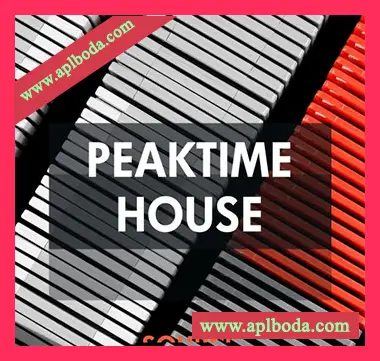 [科技浩室采样]Source Sounds Peaktime House [WAV]（248Mb）