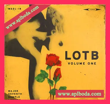 [灵魂RnB采样]Major Seventh Sample Library LOTB Vol.1 (Compositions) [WAV]（134Mb）