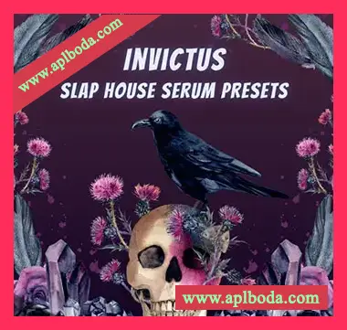 [Serum预置SlapHouse]Infinity Audio Invictus Slap House（43Mb）