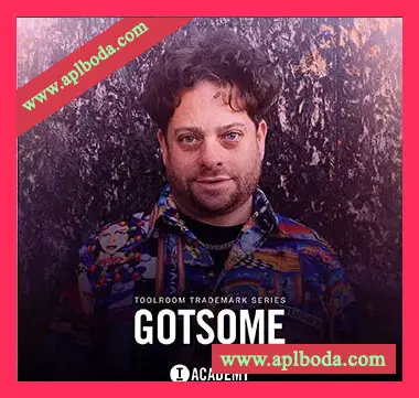 [深邃科技浩室采样]Toolroom GotSome Trademark Series [WAV]（272Mb）