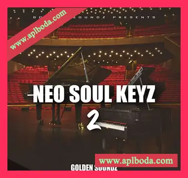 [灵魂RnB钢琴采样]Big Citi Loops NEO SOUL KEYZ 2 [WAV]（21Mb）
