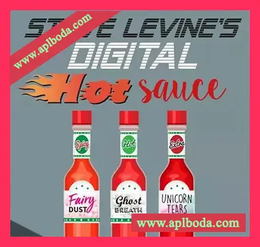 [电子乐采样]Steve Levine Recording Limited Steve Levines Digital Hot Sauce [WAV]（522Mb）