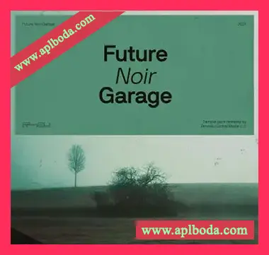 [浩室采样]Renraku Noir Future Garage [WAV]（362Mb）