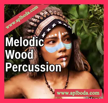 [民族木琴采样]AudioFriend Melodic Wood Percussion [WAV]（74Mb）