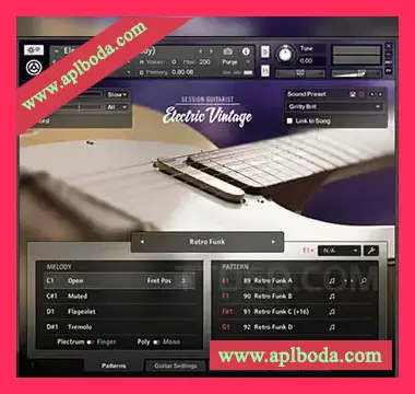 [复古电吉他音源]Native Instruments Session Guitarist Electric Vintage v1.1.0 [KONTAKT]（7.75Gb）