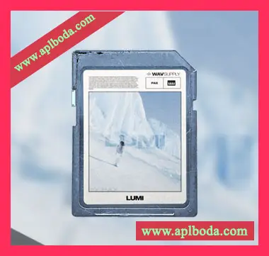 [氛围驰放采样]WavSupply PAX Lumi (Phrase Kit) [WAV]（131Mb）