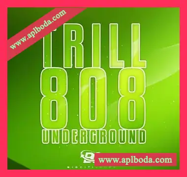 [嘻哈陷阱808采样]Big Citi Loops Trill 808 Underground [WAV]（185Mb）
