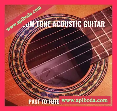[柔和音色原声吉他音源]PastToFutureReverbs Mellow Tone Acoustic Guitar For Kontakt! [KONTAKT]（11Mb）