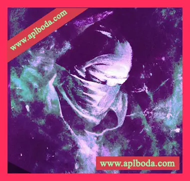 [流行嘻哈陷阱采样]WeTheSound AfterLyfe 2 [WAV]（198Mb）