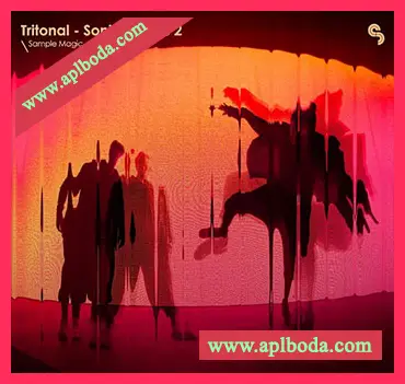 [前卫浩室电子舞曲采样]Sample Magic Tritonal Sonic Codes 2 [WAV]（869.16Mb）