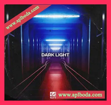 [Synthwave合成器浪潮采样]Soul Surplus Dark Light Soulful Synthwave [WAV]（395Mb）