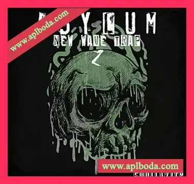 [嘻哈陷阱采样]5DOLLAKITS Asylum New Wave Trap 2 [WAV]（80Mb）