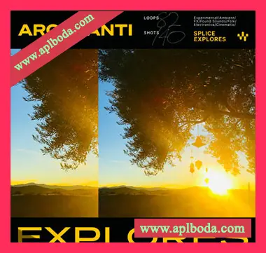 [氛围电子乐采样]Splice Explores Arcosanti [WAV]（795Mb）