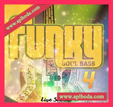 [灵魂放克贝斯采样]Big Citi Loops Funky Soul Bass 4 [WAV]（91Mb）