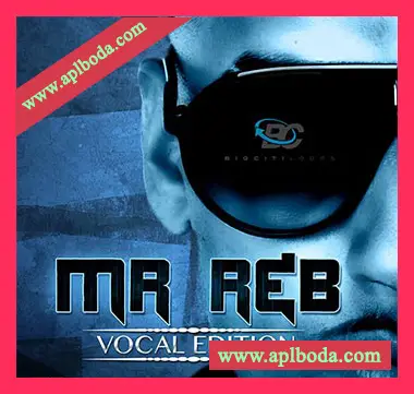 [RnB人声采样]Big Citi Loops Mr. RnB Vocal Edition [WAV]（340Mb）