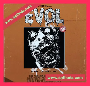 [Analog Lab V预置嘻哈陷阱]Cloud EVOL Analog Lab V Bank（37Mb）