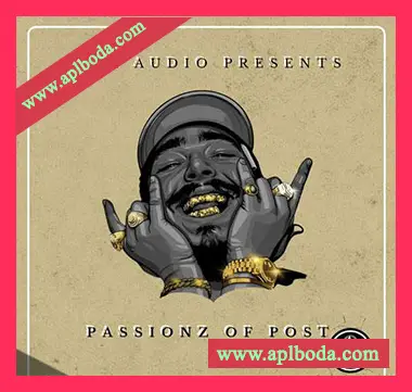 [嘻哈说唱采样]YnK Audio Passionz Of Post [WAV]（50Mb）