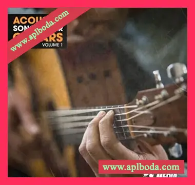 [乡村民谣原声吉他采样]New Beard Media Acoustic Songwriter Guitars Vol 1 [WAV]（145Mb）