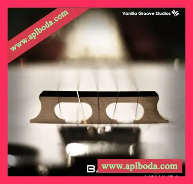 [氛围流行乡村采样]Vanilla Groove Studios Banjo Loops Vol.1 [WAV]（153Mb）