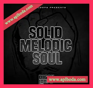 [灵魂RnB采样]Big Citi Loops Solid Melodic Soul [WAV]（74Mb）