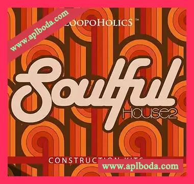 [深邃浩室素材]Loopoholics Soulful House 2 Construction Kits [WAV, MiDi]（341.74Mb）
