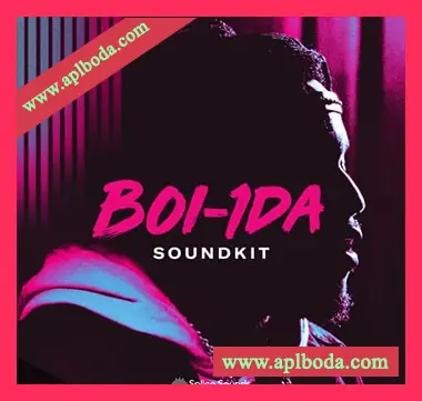 [嘻哈说唱采样]Splice Sounds Boi-1da Soundkit Bare Sounds for Your Headtop [WAV]（116Mb）