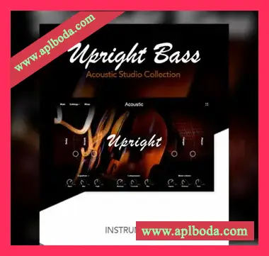 [经典立式贝斯音源]Muze Upright Bass [KONTAKT]（2.72Gb）