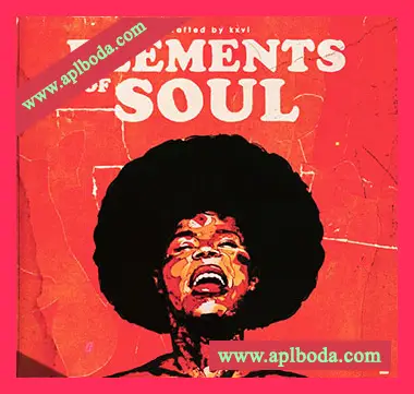 [灵魂怀旧Breaks素材RC20预置EffectRack预置]Sonix Elements of Soul [WAV, MiDi]（8.59Gb）