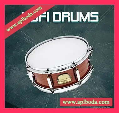 [嘻哈说唱低保真鼓组采样]SPVIDZ Lo-fi Drums Vol.5 [WAV]（6Mb）