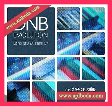 [Maschine扩展鼓打贝斯]Niche Audio Creator Series DnB Evolution（176Mb）