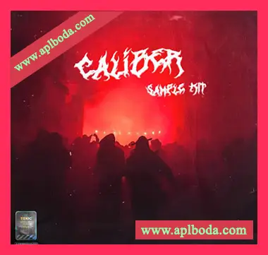 [Retro怀旧乐采样]NFE Paris Caliber (Loop Kit) [WAV]（72Mb）