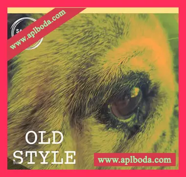 [灵魂嘻哈RnB素材]Samples Choice Old Style [WAV, MiDi]