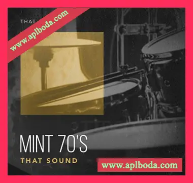 [怀旧摇滚采样]That Sound Mint 70s [WAV]（5Mb）