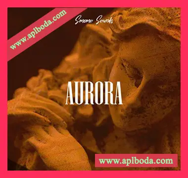 [嘻哈陷阱RnB采样]Smemo Sounds AURORA [WAV]（61Mb）
