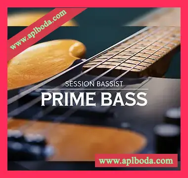 [四弦电贝司音源]Native Instruments Session Bassist Prime Bass v1.0.2 [KONTAKT]（9.37Gb）