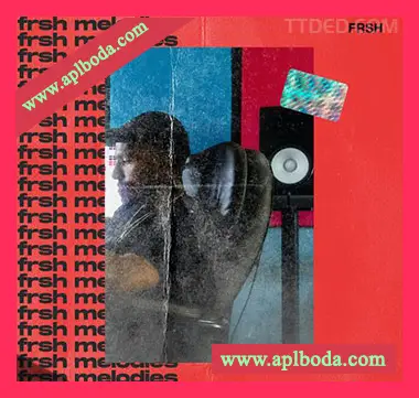 [嘻哈陷阱旋律LOOP采样]Clark Samples FRSH MELODIES [WAV]（44Mb）