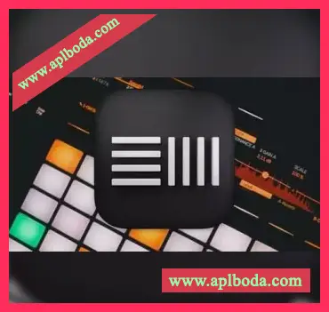 [教程]Udemy The Ultimate Trap Music Production Course with Ableton Live（3.94Gb）