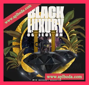 [爵士RNB采样]MSXII Black Luxury Collection（164Mb）