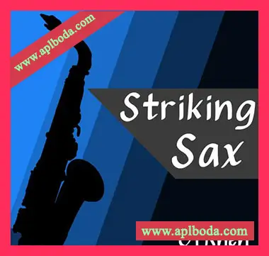 [POP流行萨克斯采样]Cj Rhen Striking Sax [WAV]（40Mb）